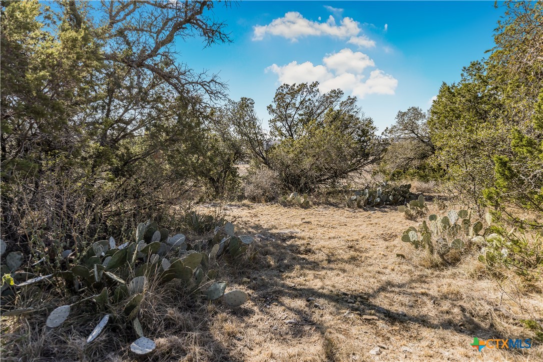 Lot 48 Inksview Lane