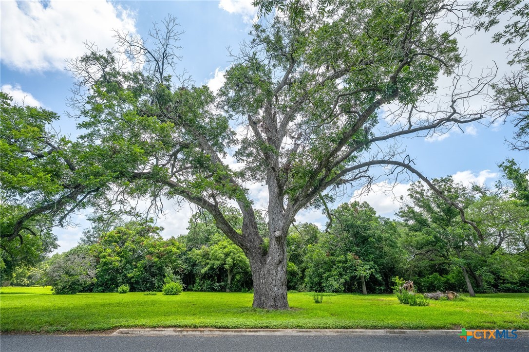 Photo 1 of 11 — 24 Glen Cove Drive, Seguin, TX 78155