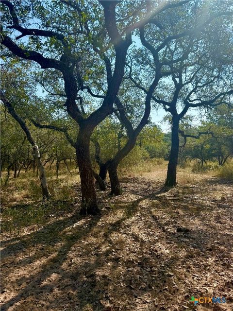 0 COUNTY ROAD 14/PVT 1066 TX Hallettsville TX 77964