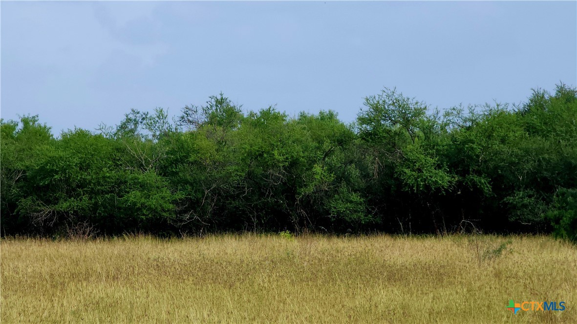 00 San Antonio River Road