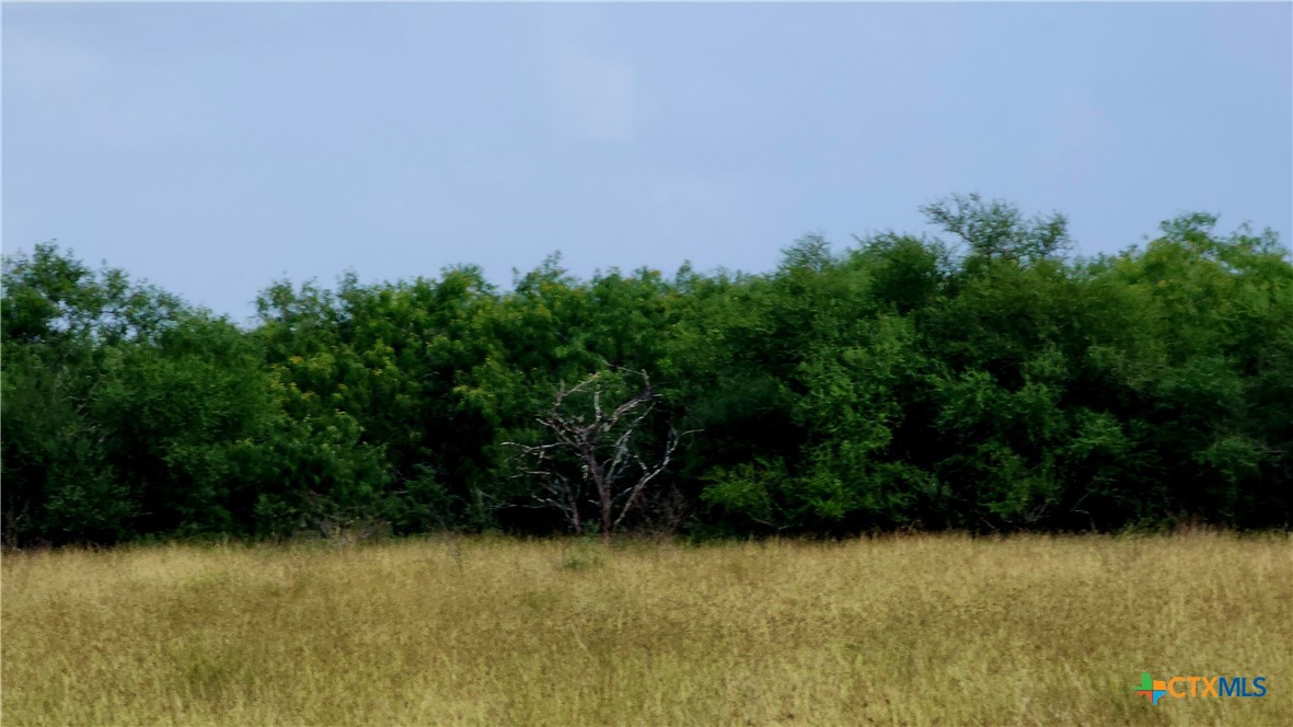 00 San Antonio River Road