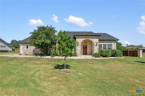 201 Campo Colinas Drive Bertram TX 78605