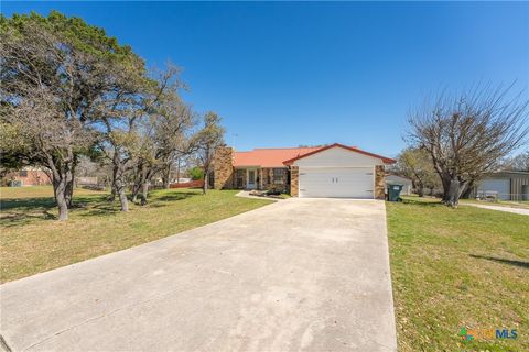 Photo of 479 County Road 4932, Kempner, TX 76539 (MLS # 608648)