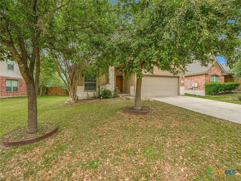 A home in Pflugerville