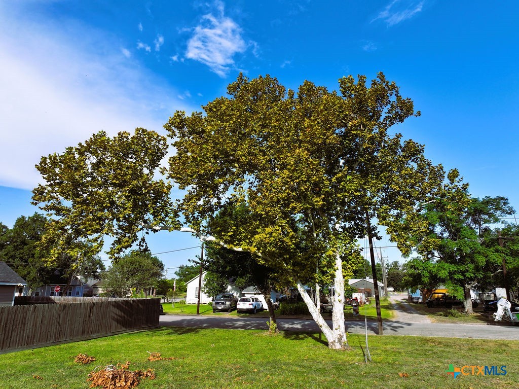 1177 State Highway 239