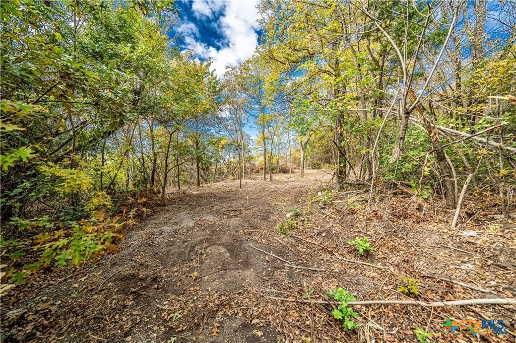 101 Creek Cliff Drive