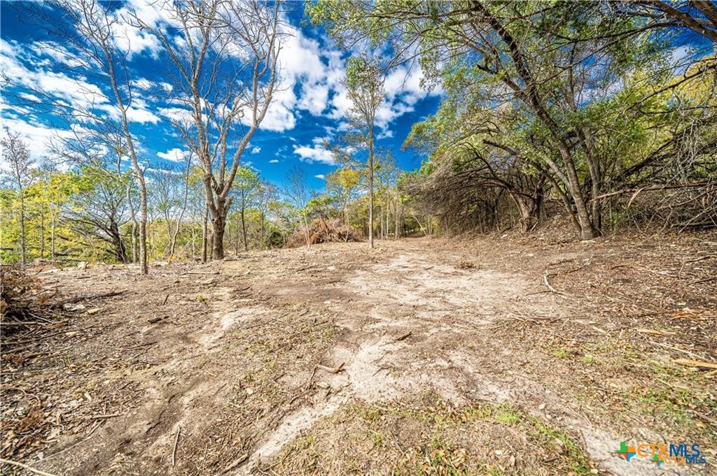 101 Creek Cliff Drive