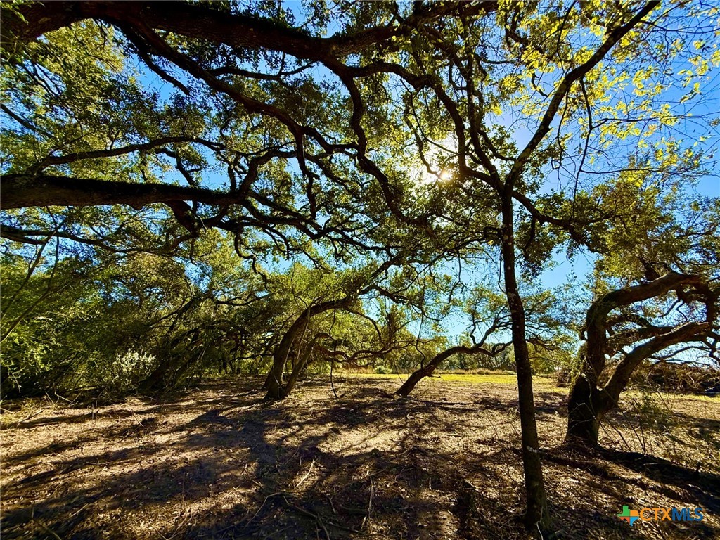 000 Sydnie Ranch Road