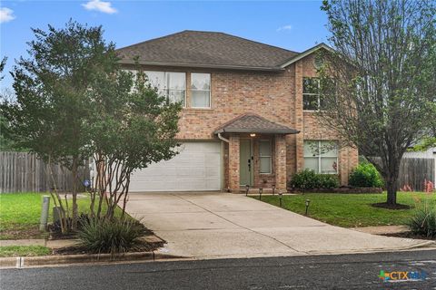Photo of 7327 Pusch Ridge Loop, Austin, TX 78749 (MLS # 612858)
