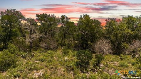 Photo of 189 Morning View Drive, New Braunfels, TX 78132 (MLS # 612743)