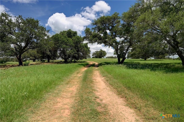 2901 MULE CREEK RD, HARWOOD, TX 78632 - Image fdaee3c939a84bd2e289785253c58b2a/2351264374