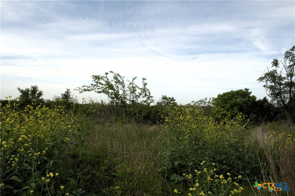 700 & 701 Carla Circle