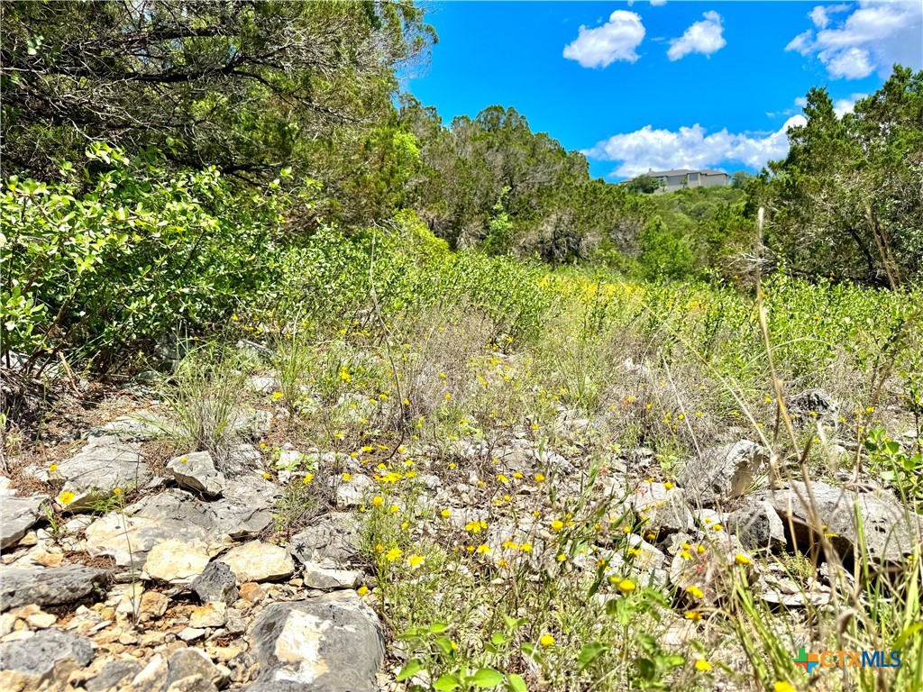 LOT 2, UNIT 4 Private Rd 2771