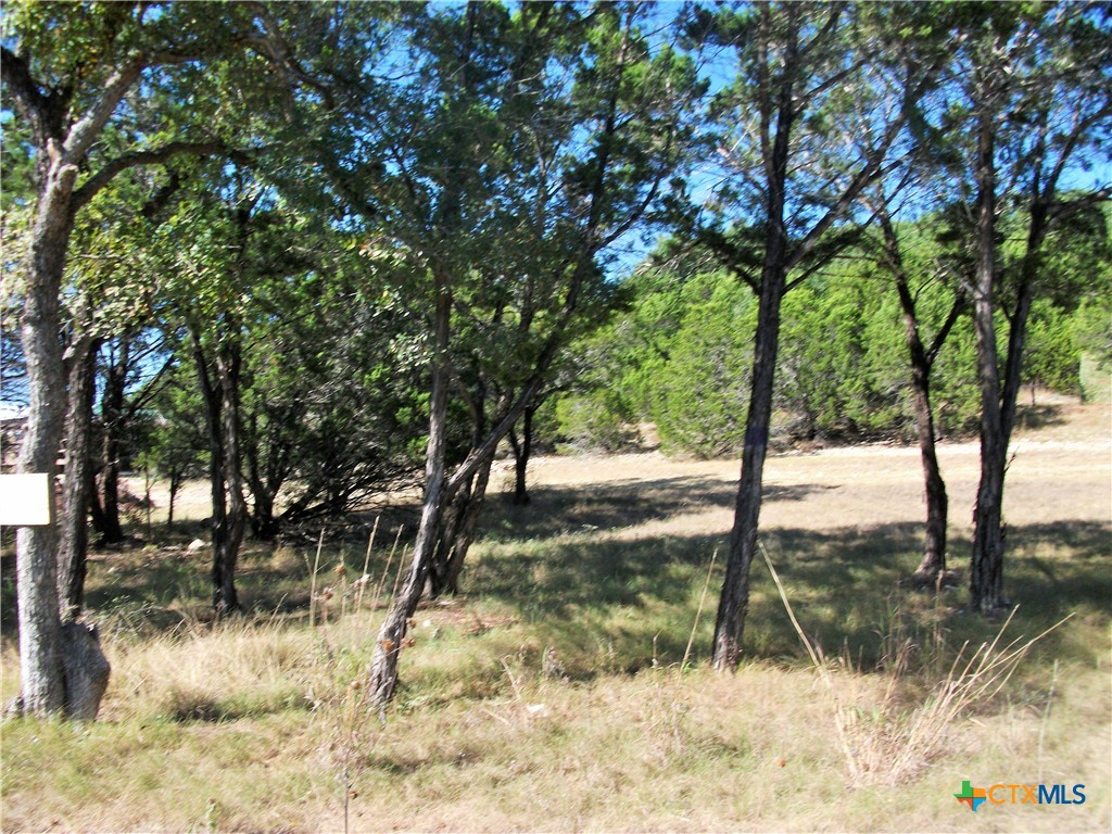 Spring Branch, Texas 78070, United States, ,Land,Active,91438