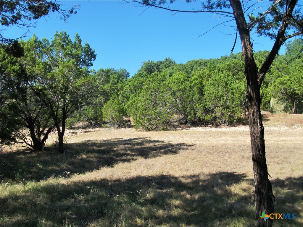 Spring Branch, Texas 78070, United States, ,Land,Active,91438