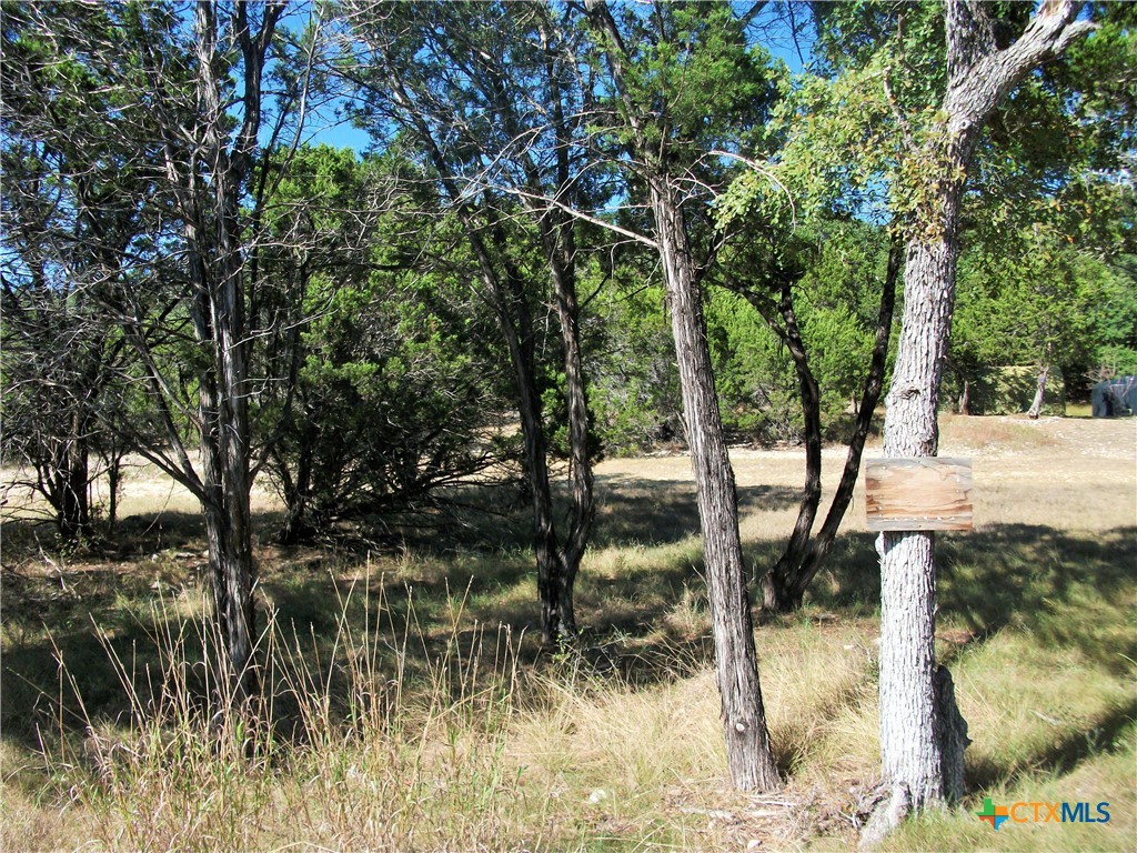 Spring Branch, Texas 78070, United States, ,Land,Active,91438