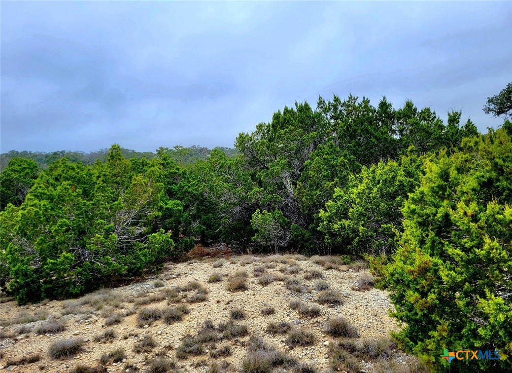 171 Appaloosa Drive