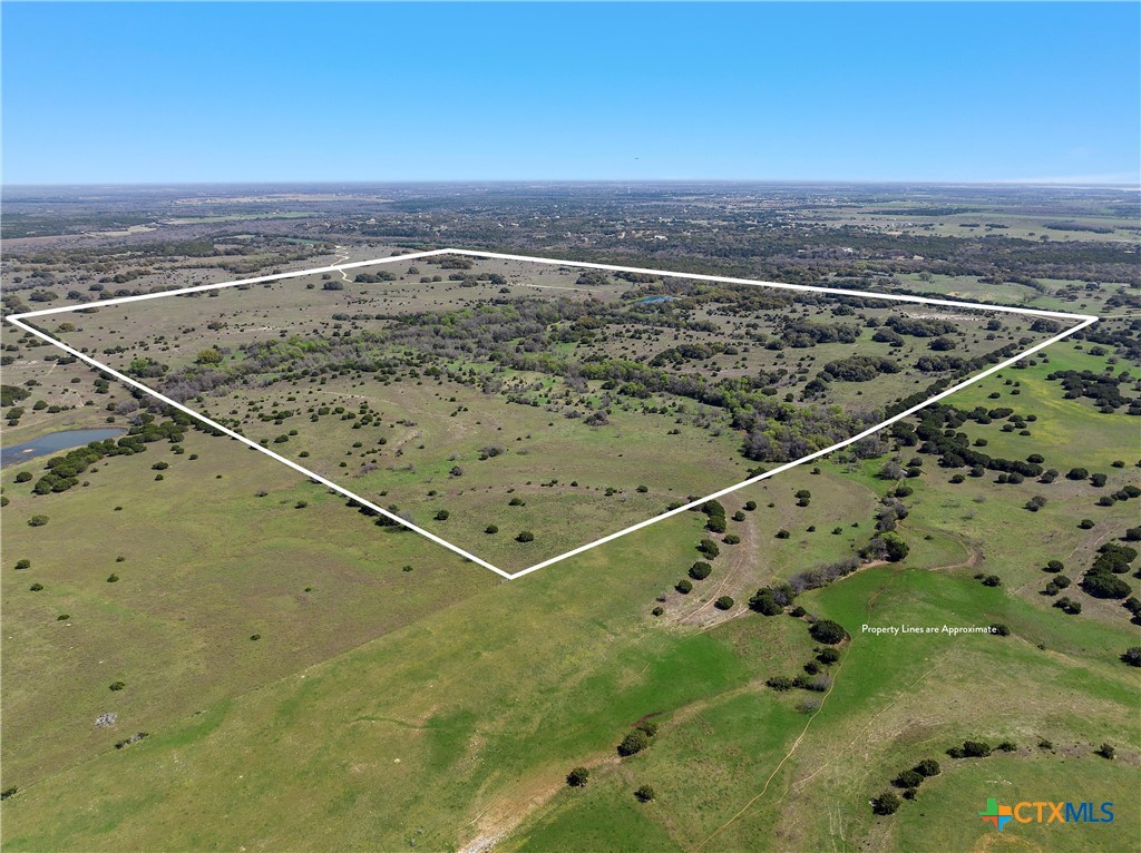 TBD 252.78 Acres Dan Morgan Road