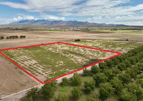 Homes For Sale - 213 Sunshine Lane<br/> Mesquite, NM 88048