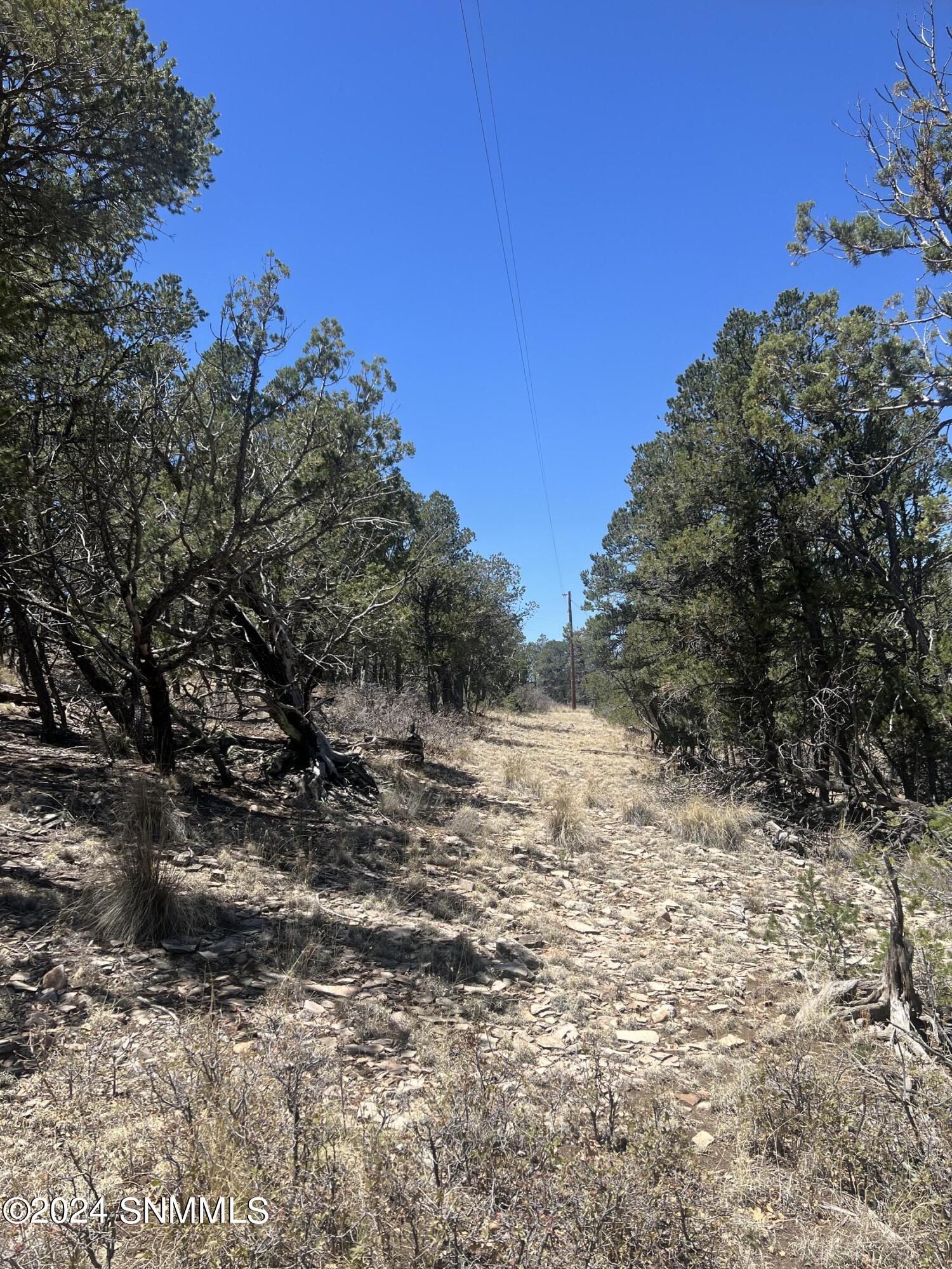 32 Hungry Horse Loop, Timberon, New Mexico image 5