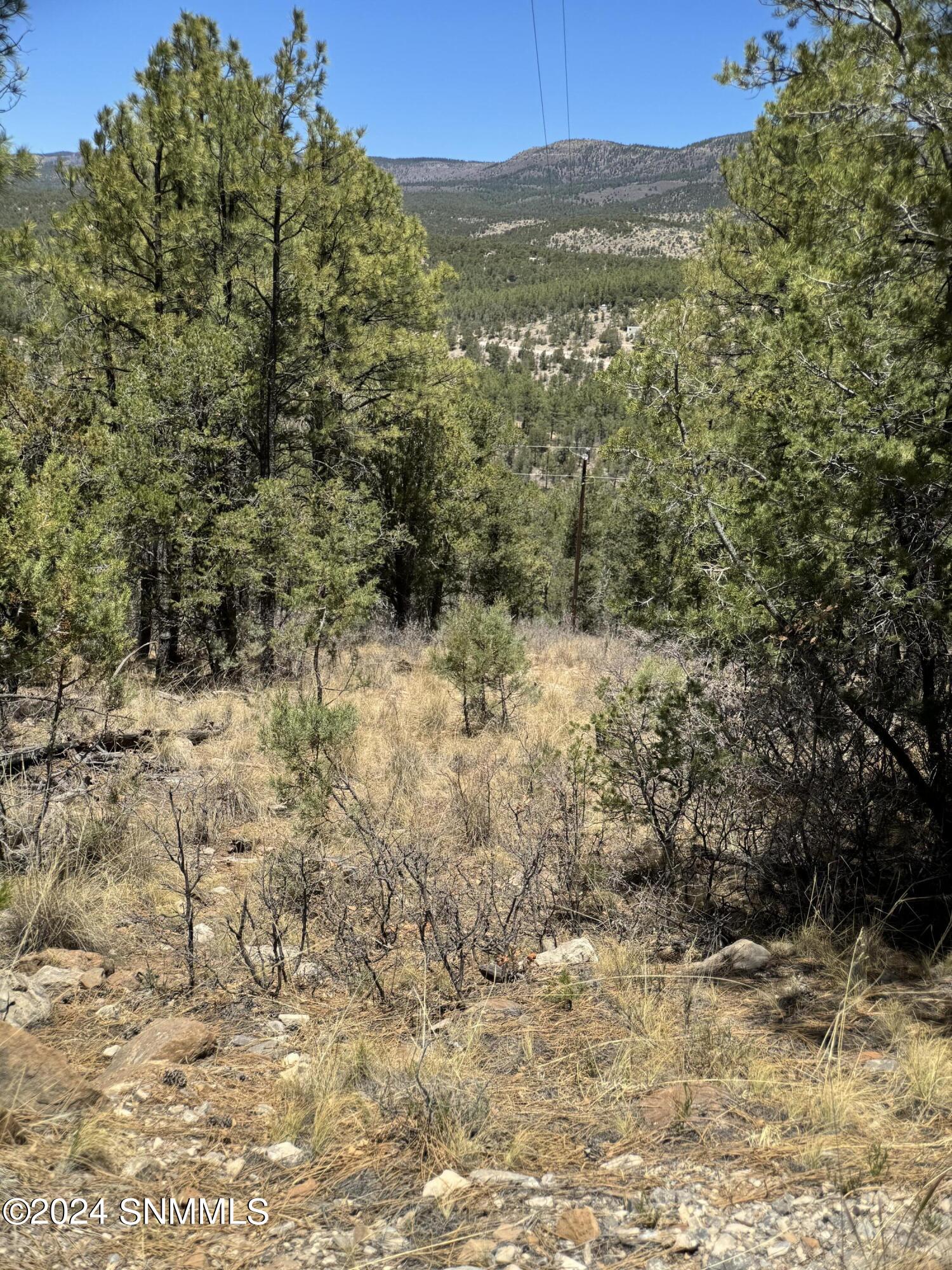 32 Hungry Horse Loop, Timberon, New Mexico image 4