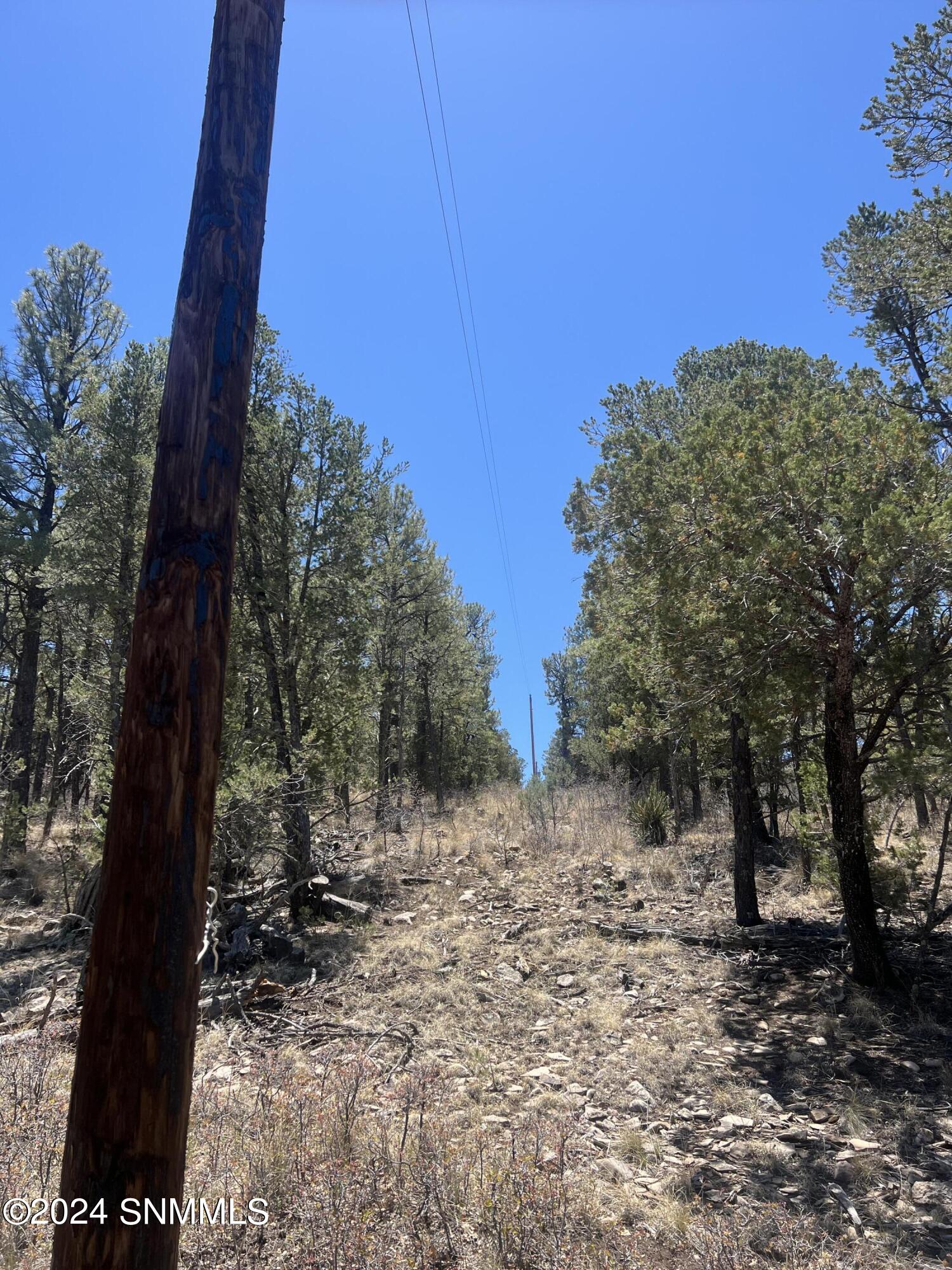 32 Hungry Horse Loop, Timberon, New Mexico image 6