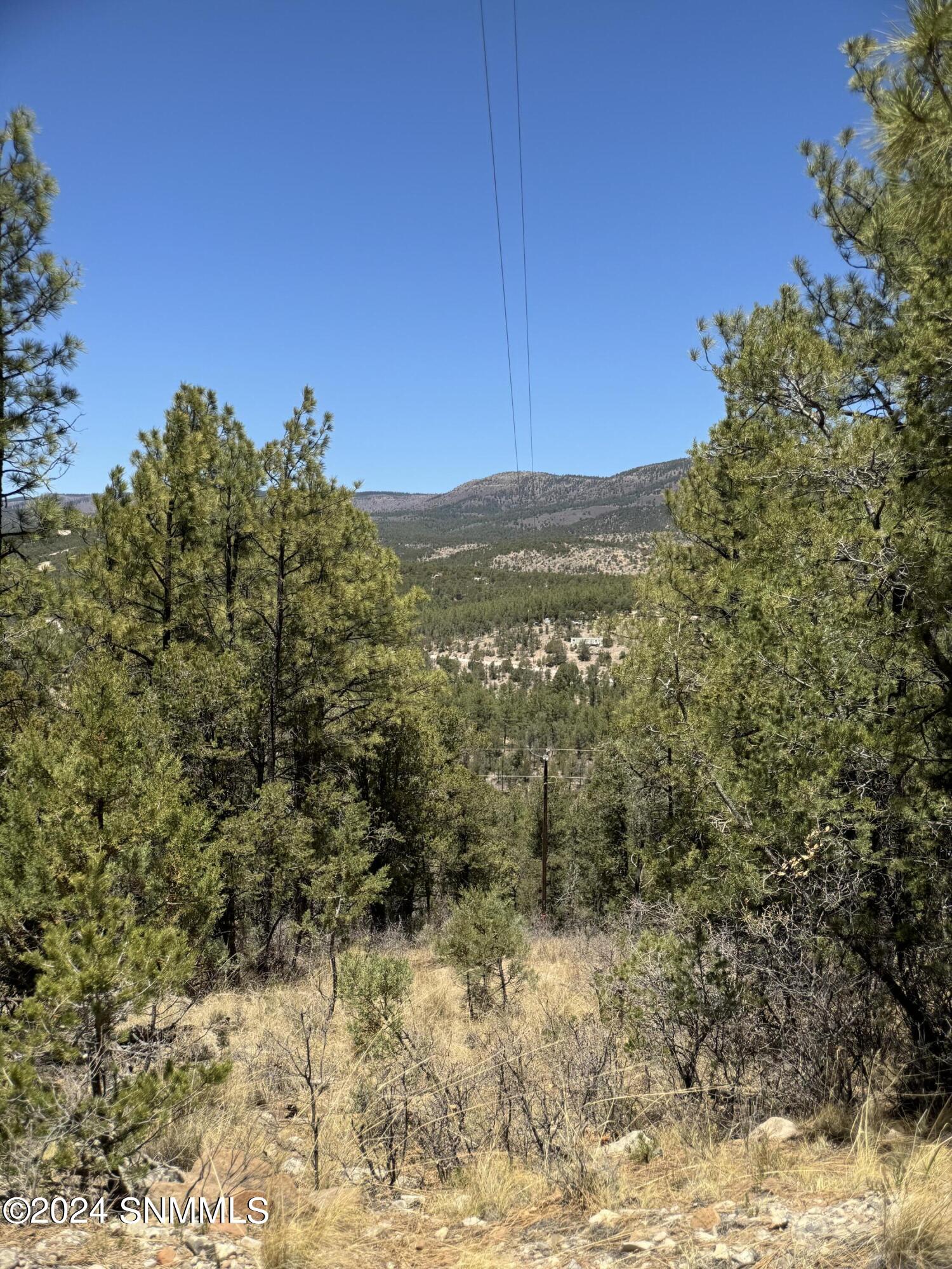 32 Hungry Horse Loop, Timberon, New Mexico image 7