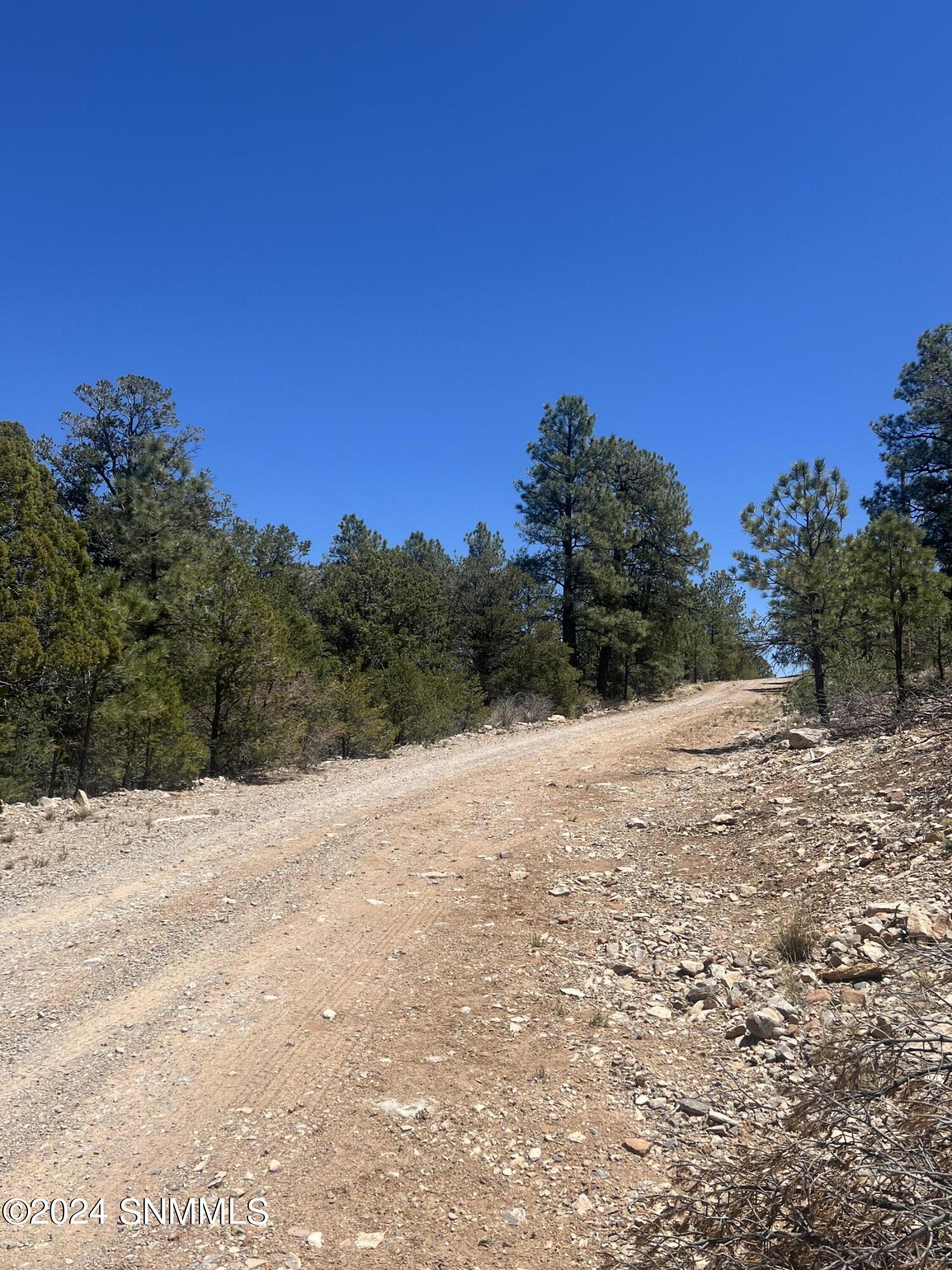 32 Hungry Horse Loop, Timberon, New Mexico image 2