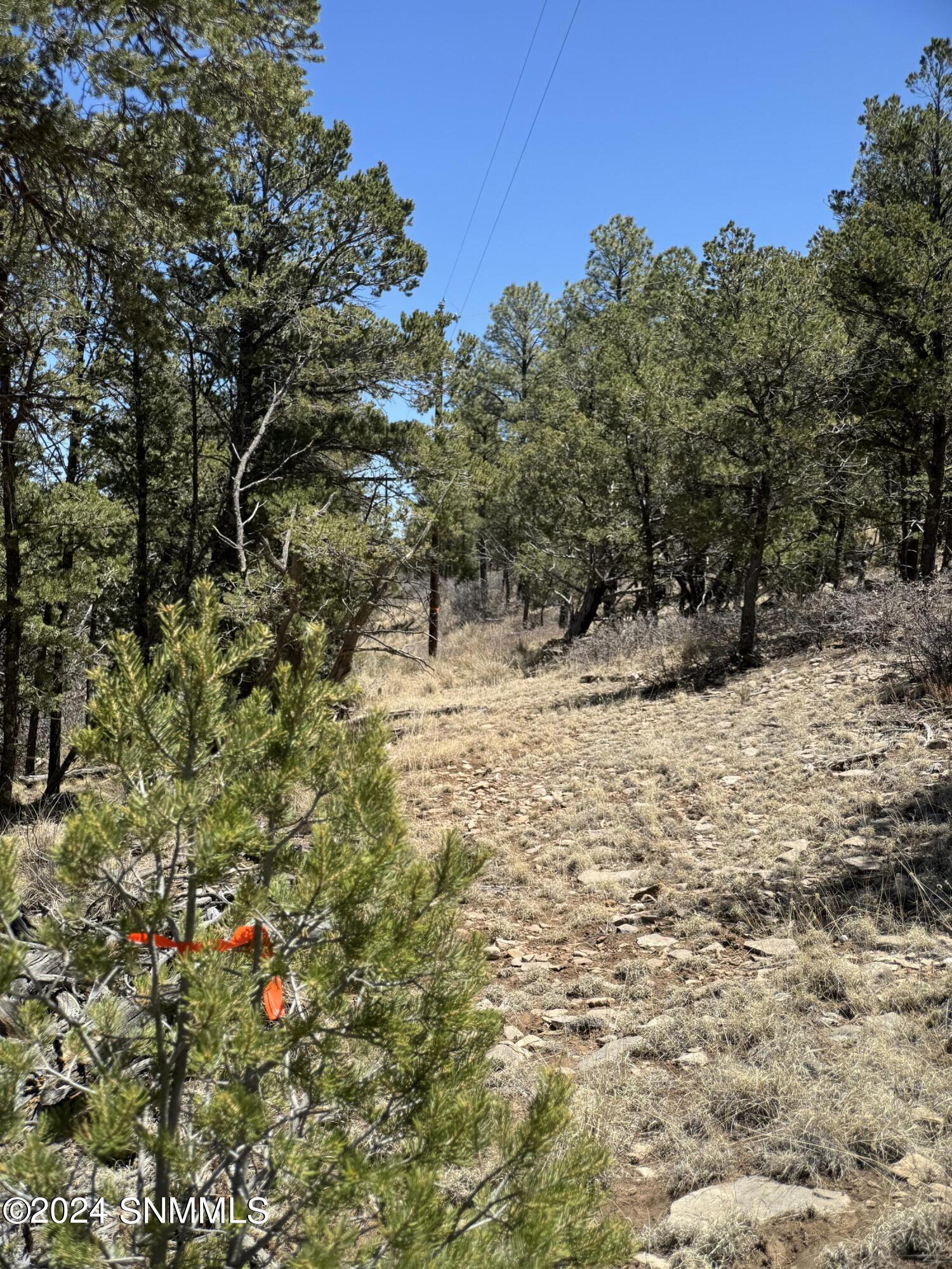 32 Hungry Horse Loop, Timberon, New Mexico image 8