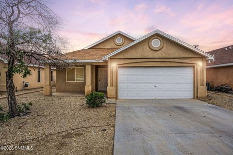 Homes For Sale - 2882 Borroughs Street<br/> Las Cruces, NM 88007