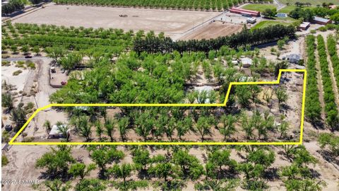 3100 Puerta Lane, Las Cruces, NM 88007 - #: 2501270