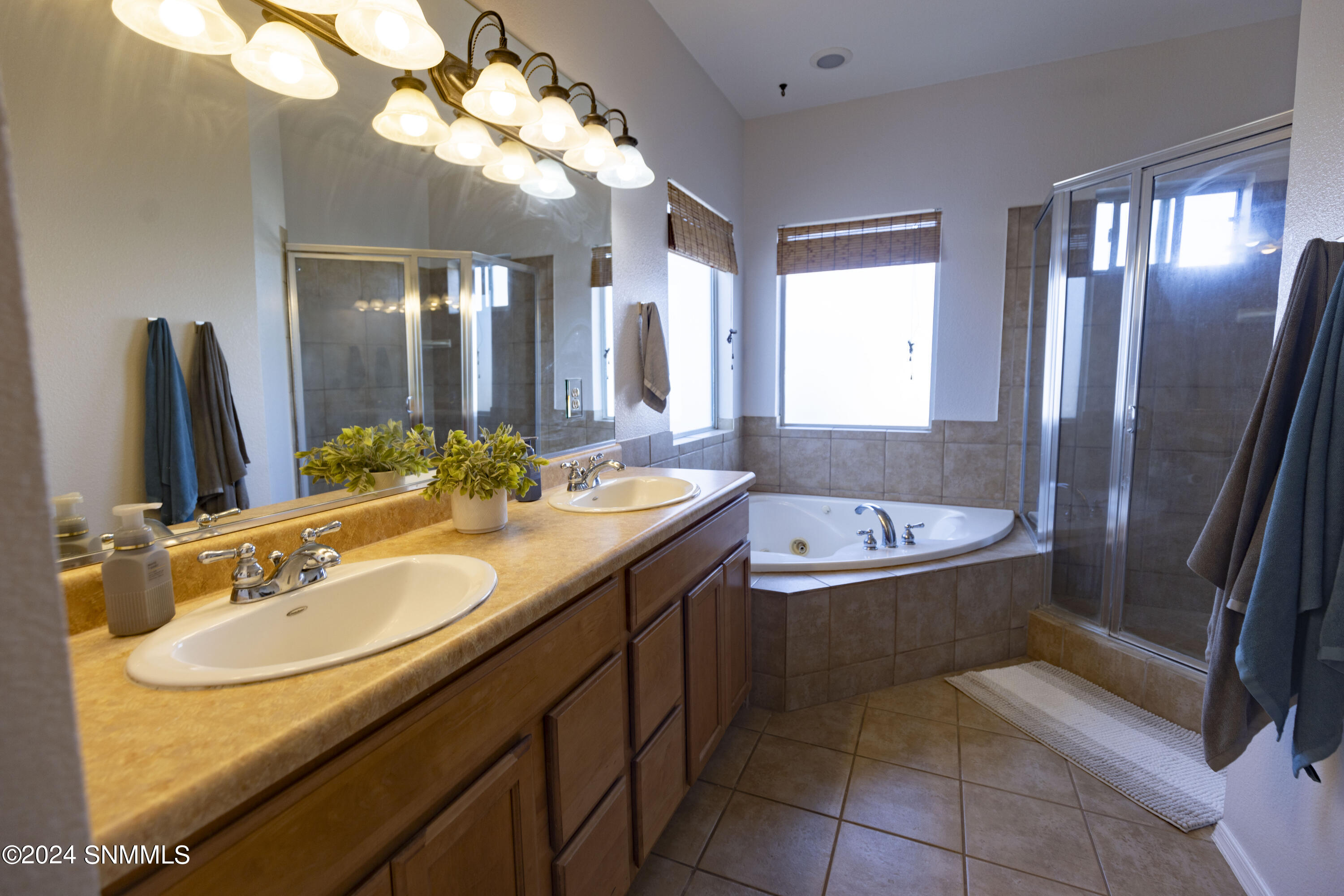 3397 Park Ridge Place, Las Cruces, New Mexico image 36