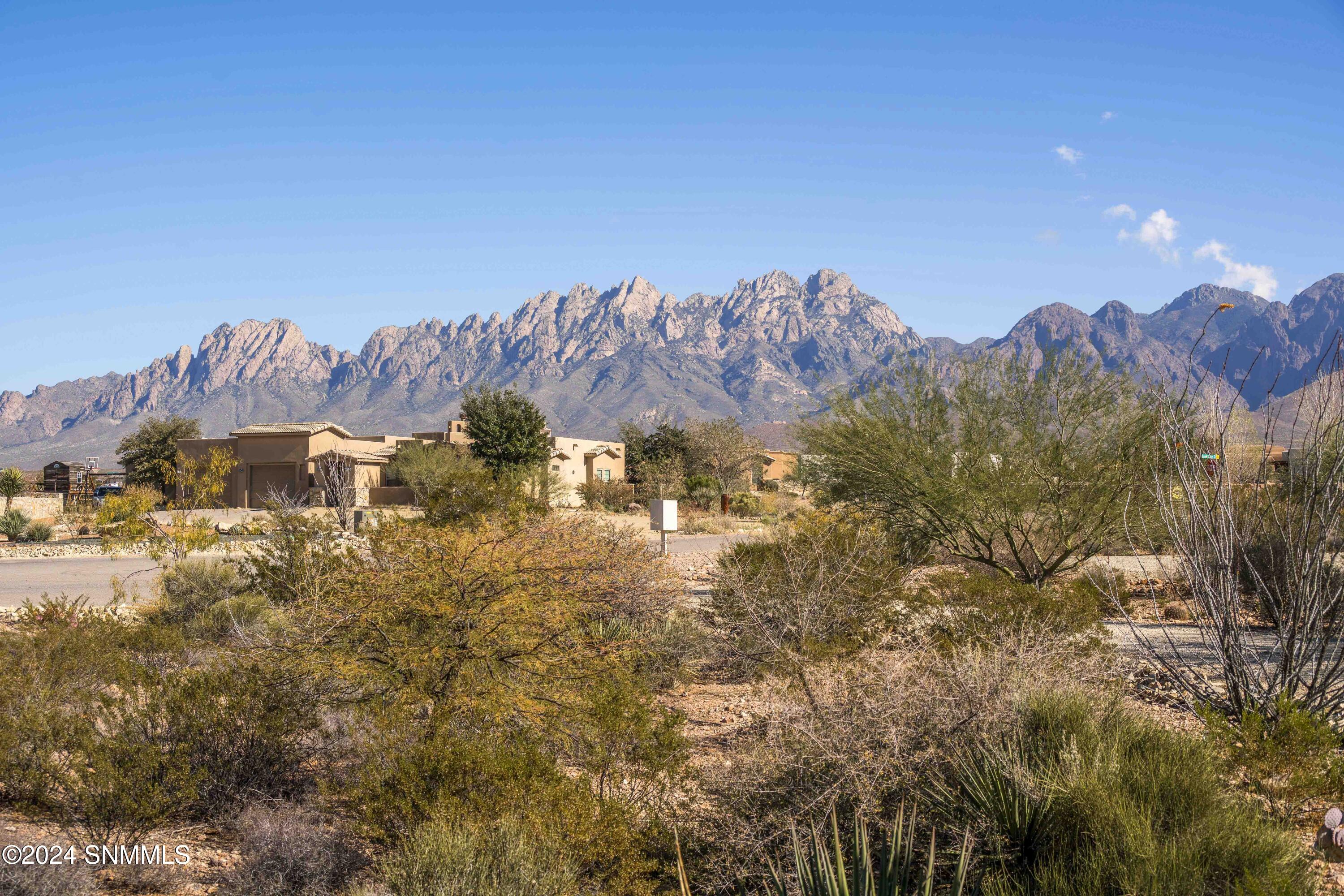 8560 Barrel Cactus Court, Las Cruces, New Mexico image 3