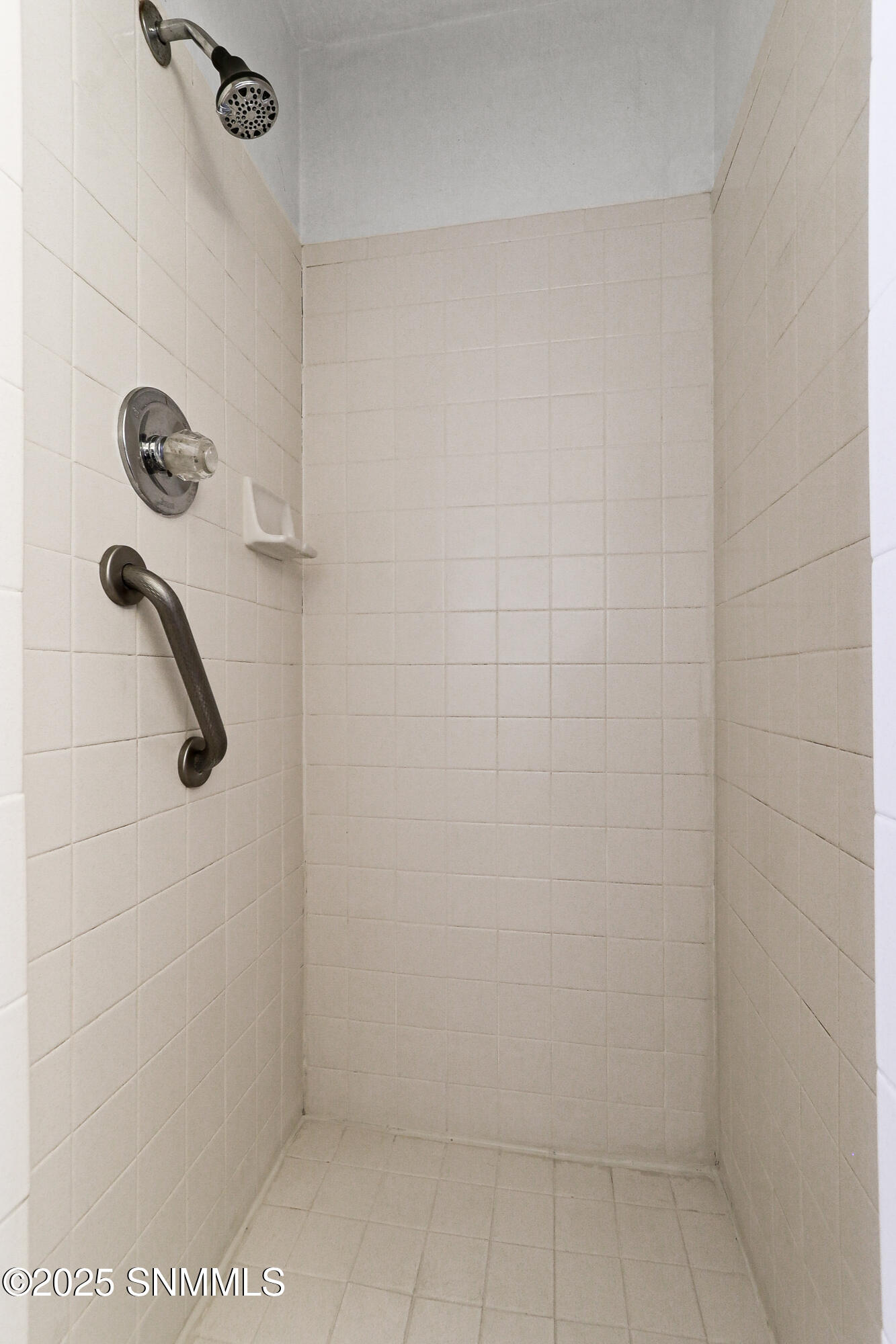 1865 Carlyle Drive, Las Cruces, New York image 34