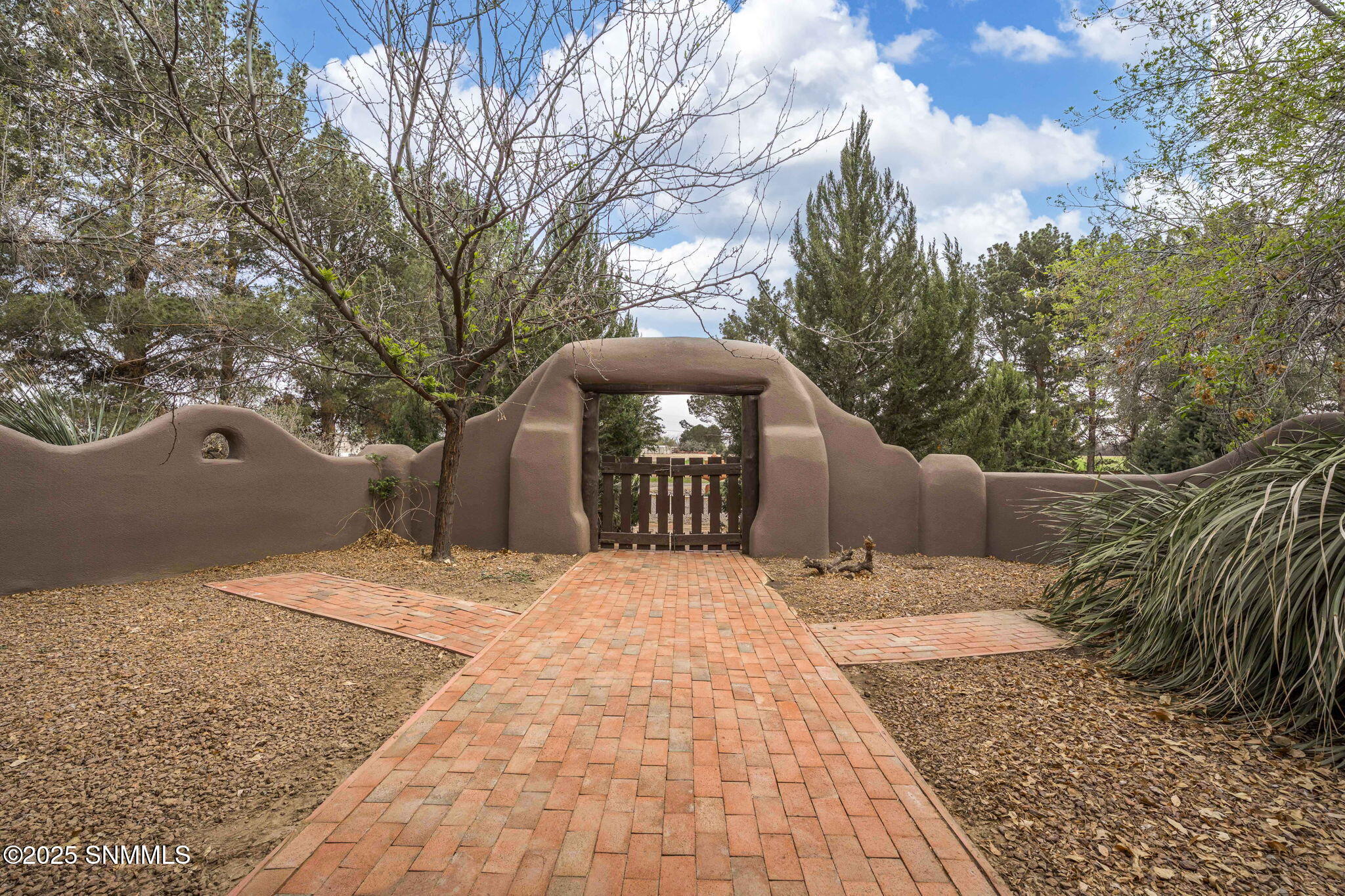 9076 Flecha Doble, Mesilla Park, New Mexico image 9