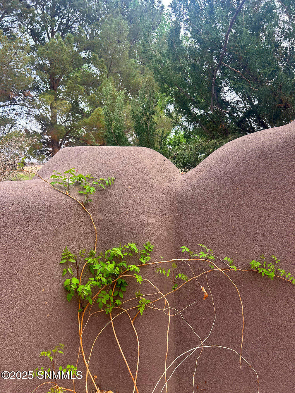9076 Flecha Doble, Mesilla Park, New Mexico image 8