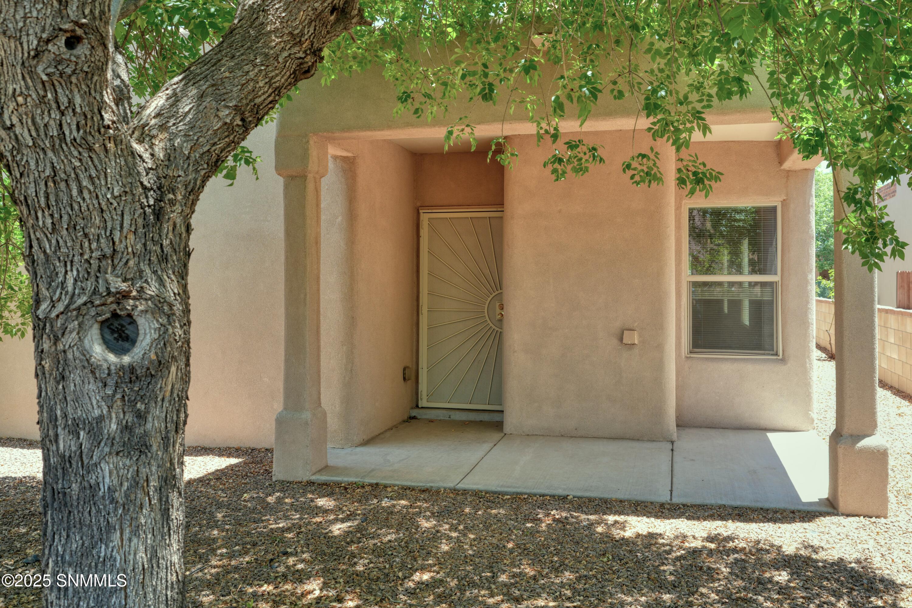 2052 Cotton Avenue, Las Cruces, New York image 11
