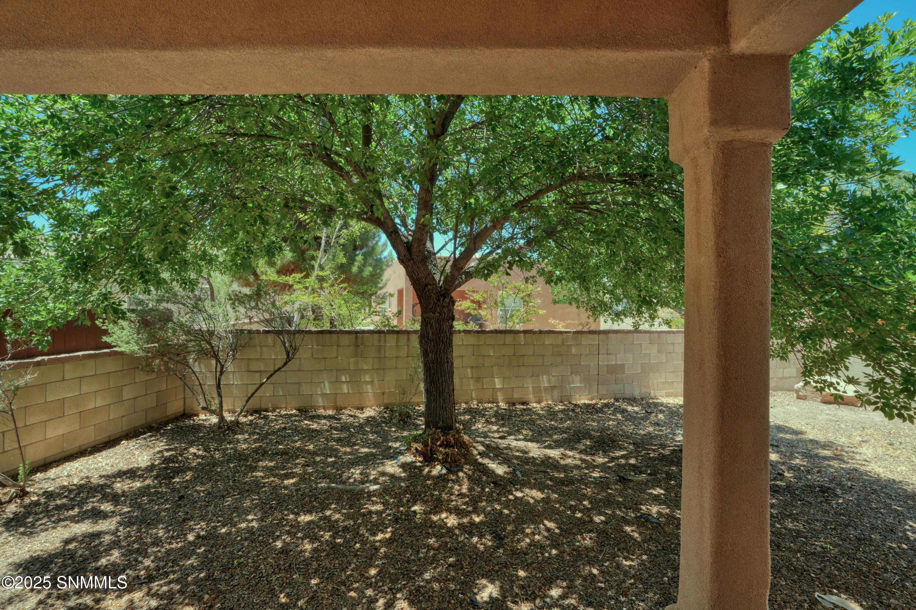 2052 Cotton Avenue, Las Cruces, New York image 10