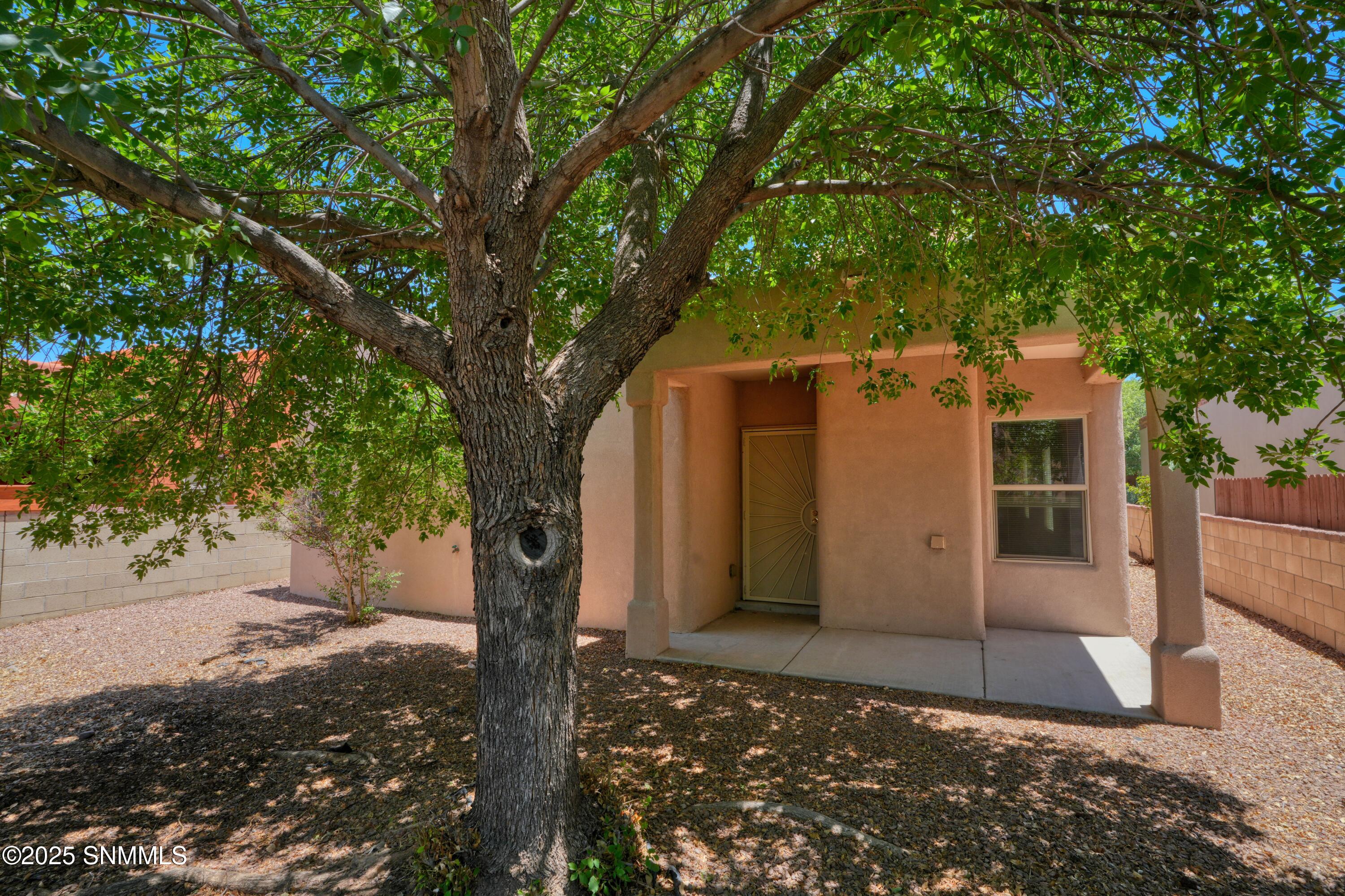 2052 Cotton Avenue, Las Cruces, New York image 7