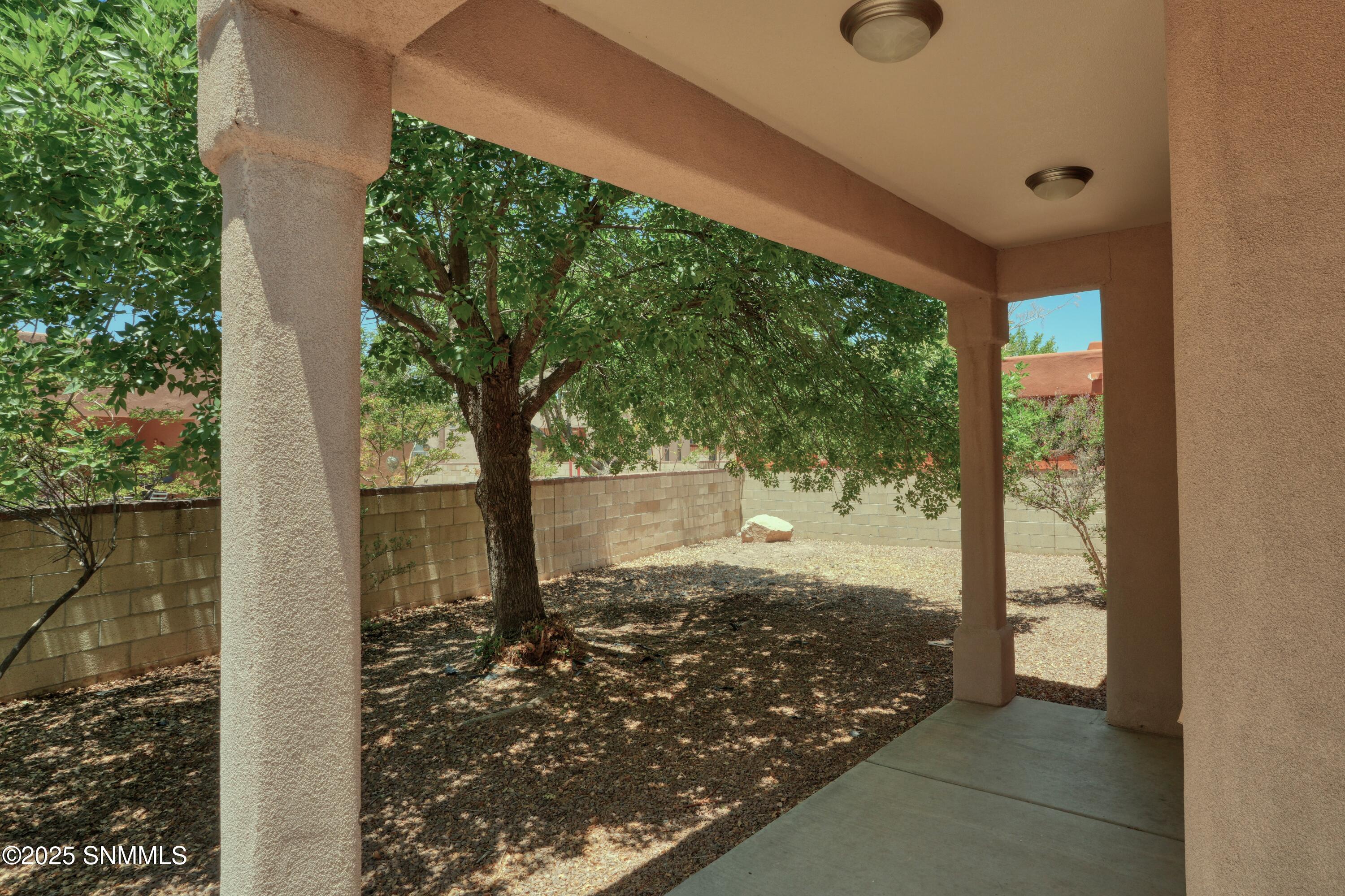 2052 Cotton Avenue, Las Cruces, New York image 9