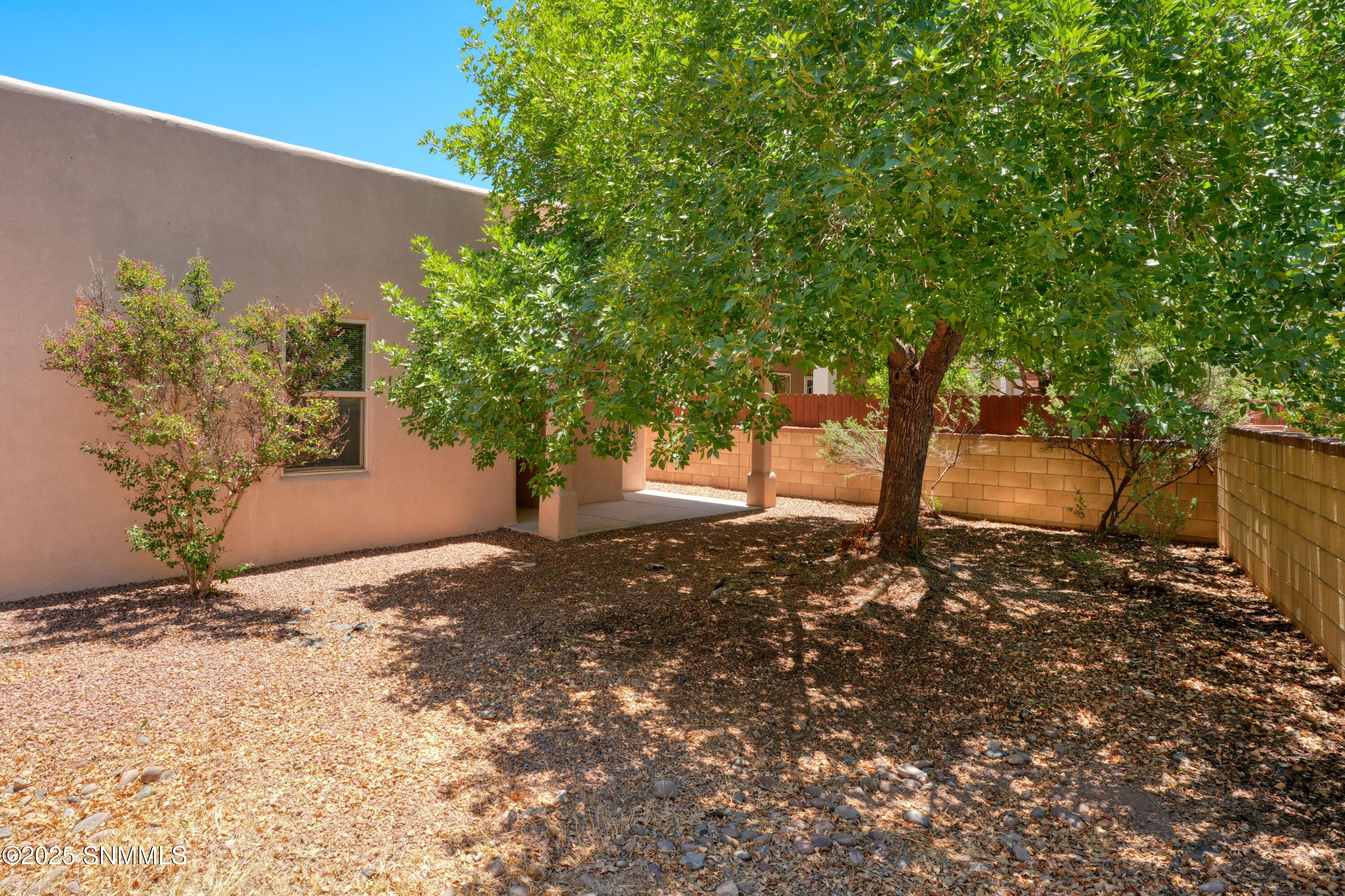 2052 Cotton Avenue, Las Cruces, New York image 6