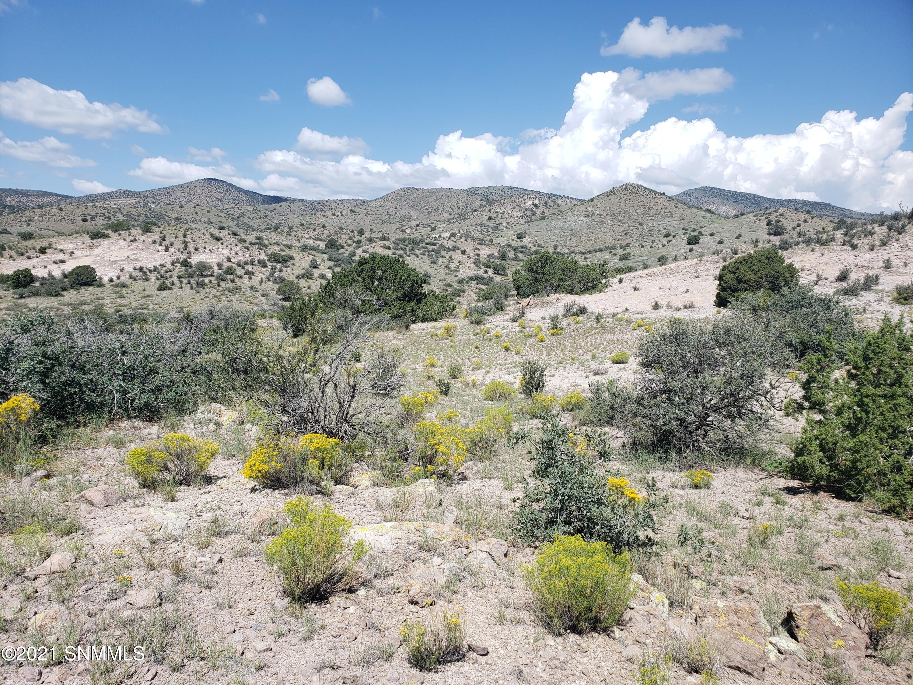 8 Child Of Water, Hillsboro, New Mexico image 5