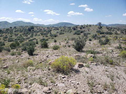Vacant Land For Sale - 8 Child Of Water<br/> Hillsboro, NM 88042