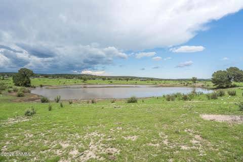 Vacant Land For Sale - 1604 Nm Highway 24<br/> Weed, NM 88354