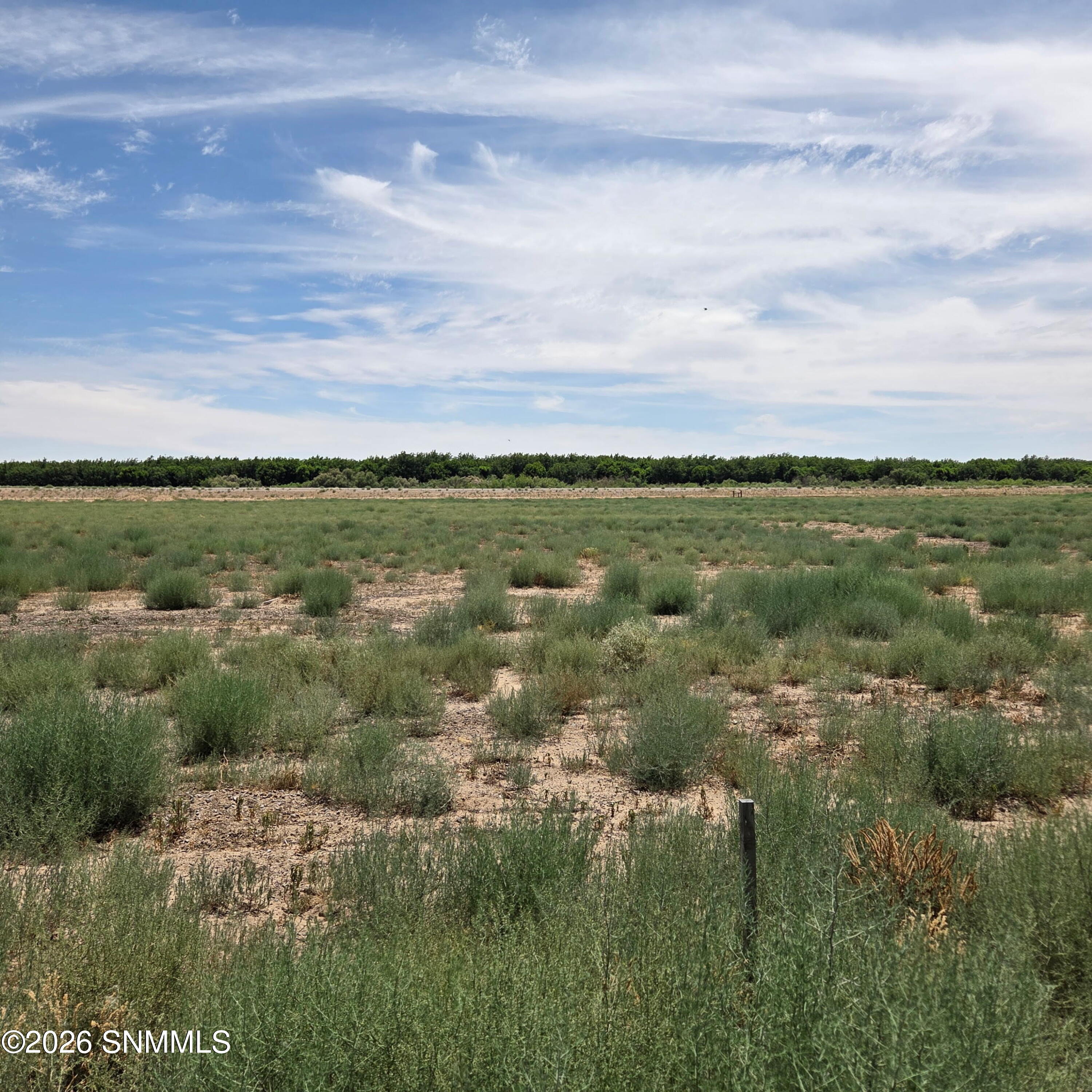 6525 Valle Del Rio Drive 2B - Photo 2
