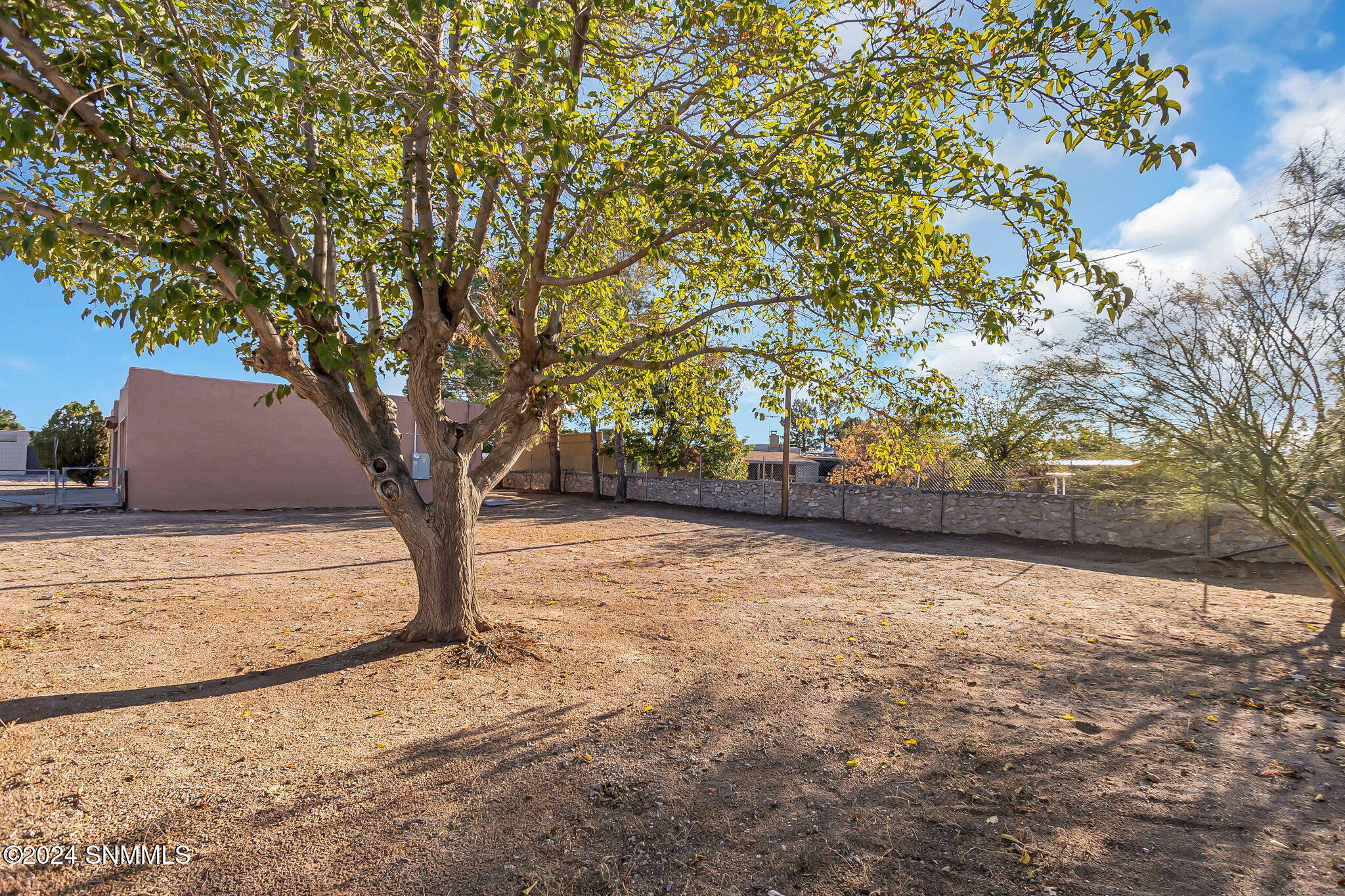 1313 Juniper Avenue, Las Cruces, New Mexico image 29