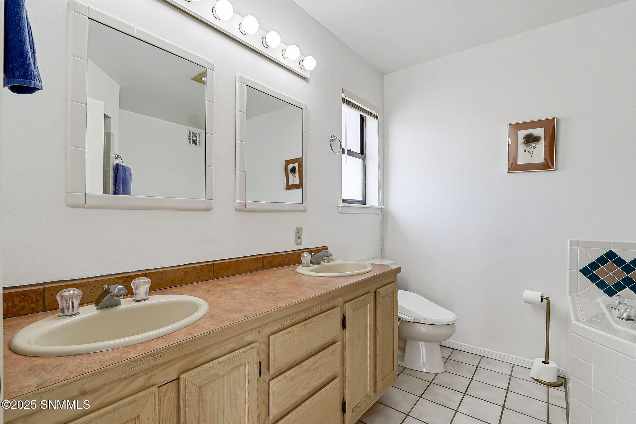 4924 Modoc Trail, Las Cruces, New Mexico image 25