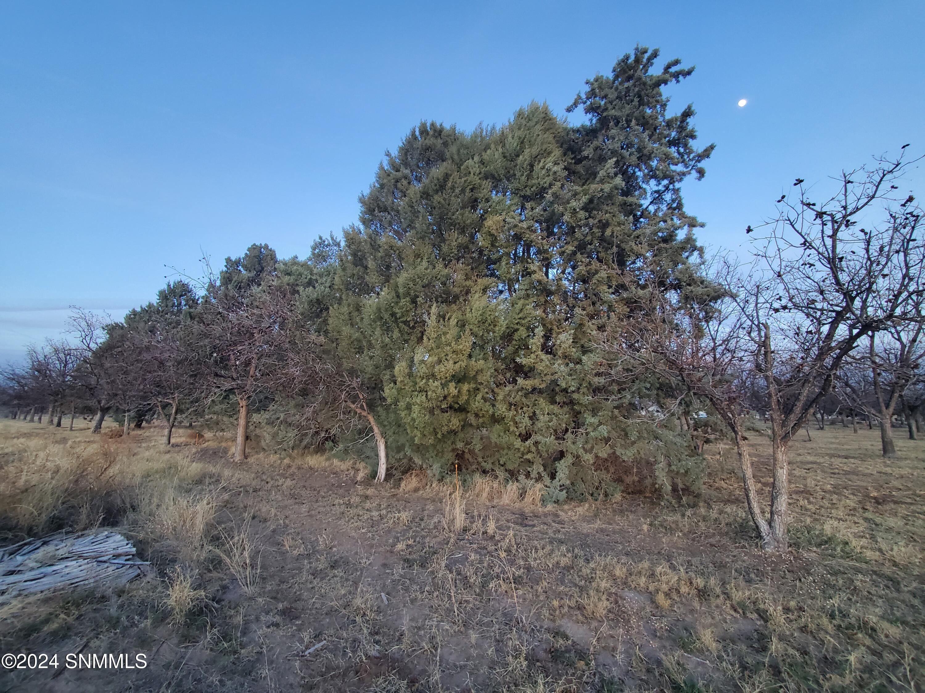 3610 Sparrow Road, Las Cruces, New Mexico image 9