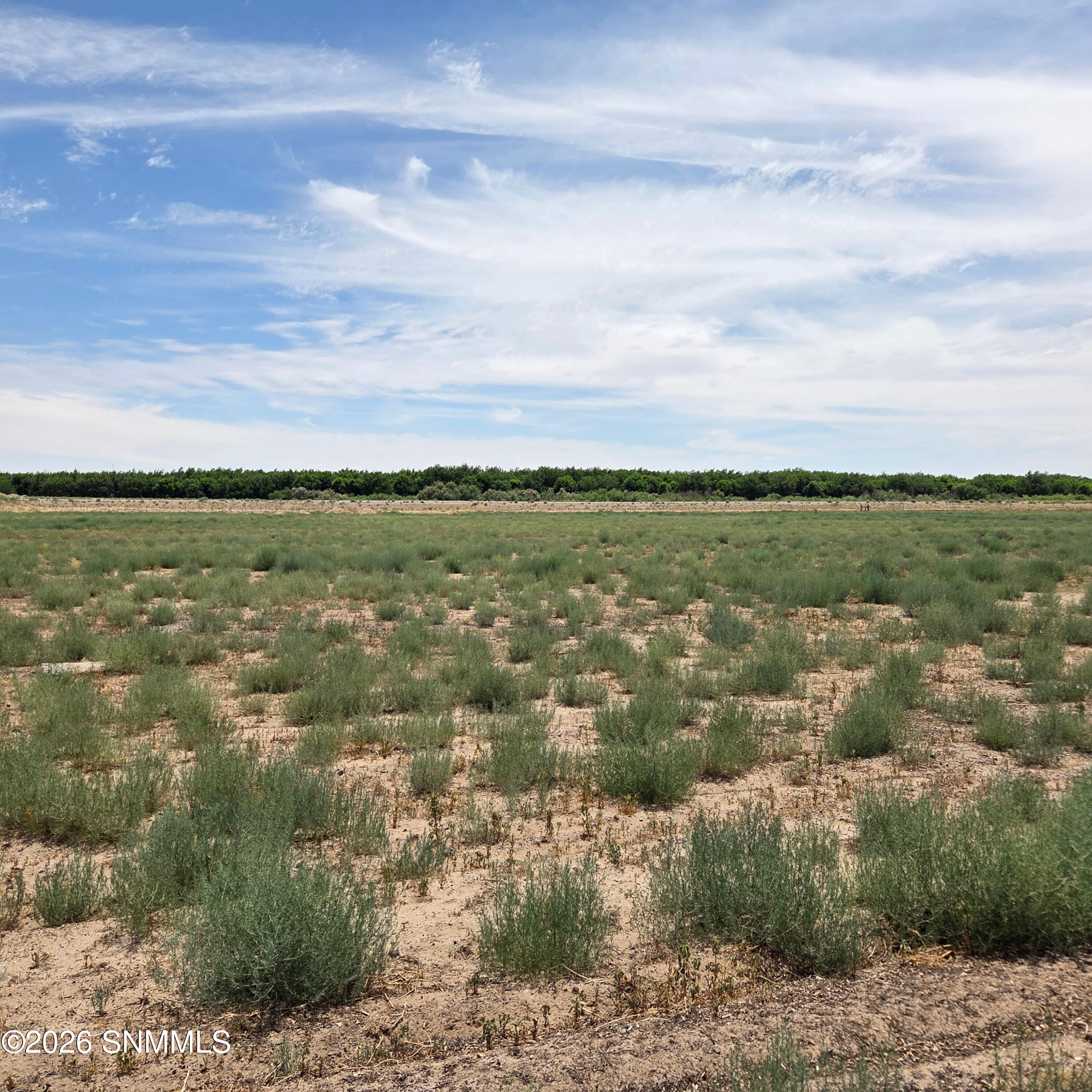 6525 Valle Del Rio Drive 2C - Photo 2