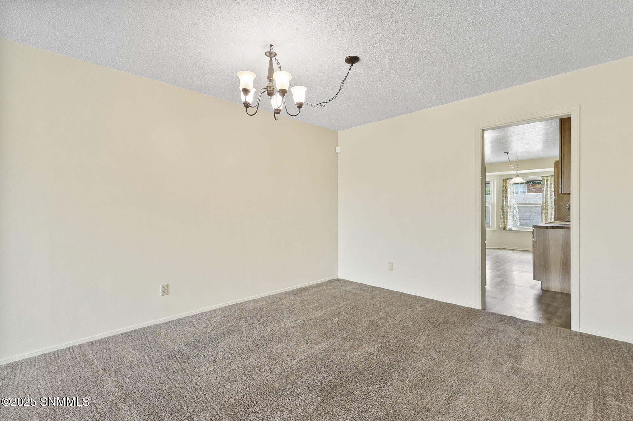 1725 Altura Avenue, Las Cruces, New Mexico image 11